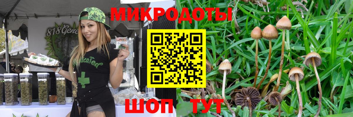 Галлюциногенные грибы Magic Shrooms Маркс