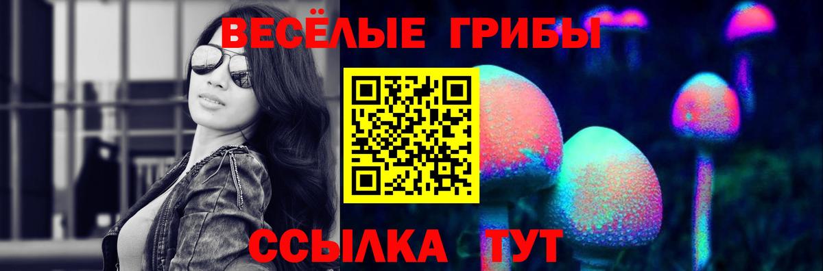 Галлюциногенные грибы Psilocybe Маркс