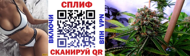 Марихуана планчик  Маркс 