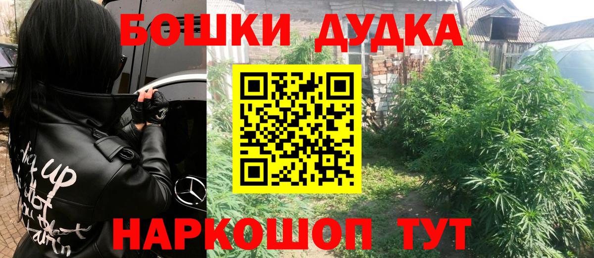 Бошки марихуана планчик  Вход с VPN  Канабис планчик  Марихуана Bruce Banner  Маркс  МАРИХУАНА индика 